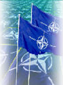 NATO flag